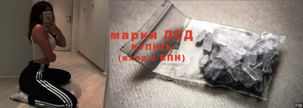 прущие грибы Краснотурьинск