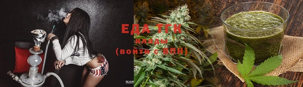 прущие грибы Краснотурьинск