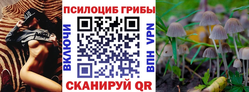 Псилоцибиновые грибы Cubensis  Купить где  Усть-Илимск 